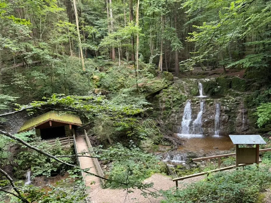 ImpulsREISE – Wald mit Wasserfall